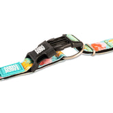 CAPITO! Collare per cani Smart ID - Exotique