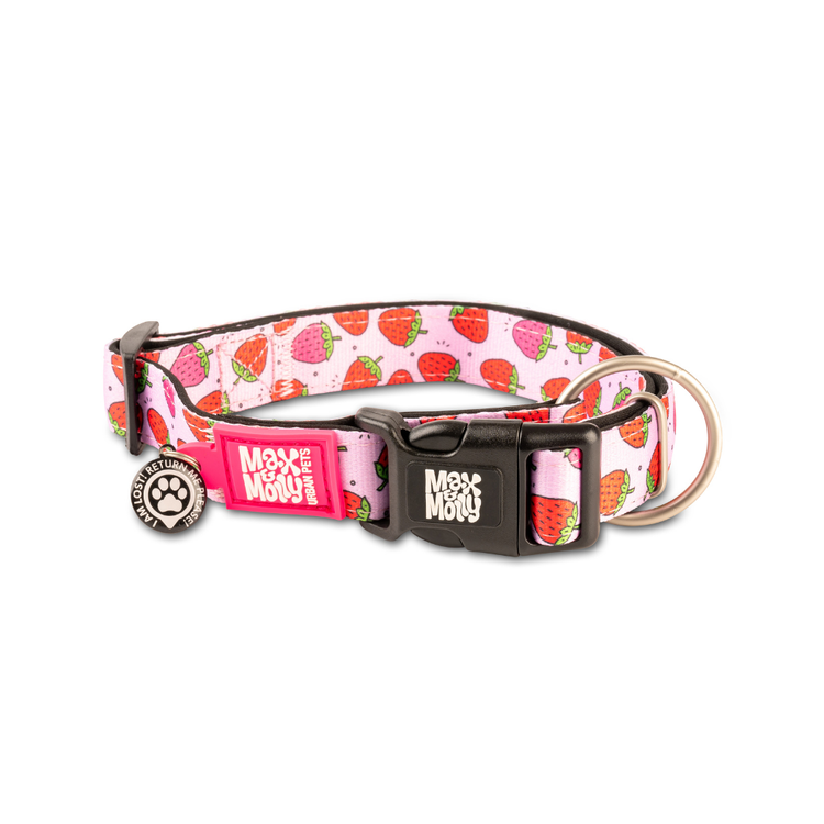 CAPITO! Collare per cani Smart ID - Strawberry Dream