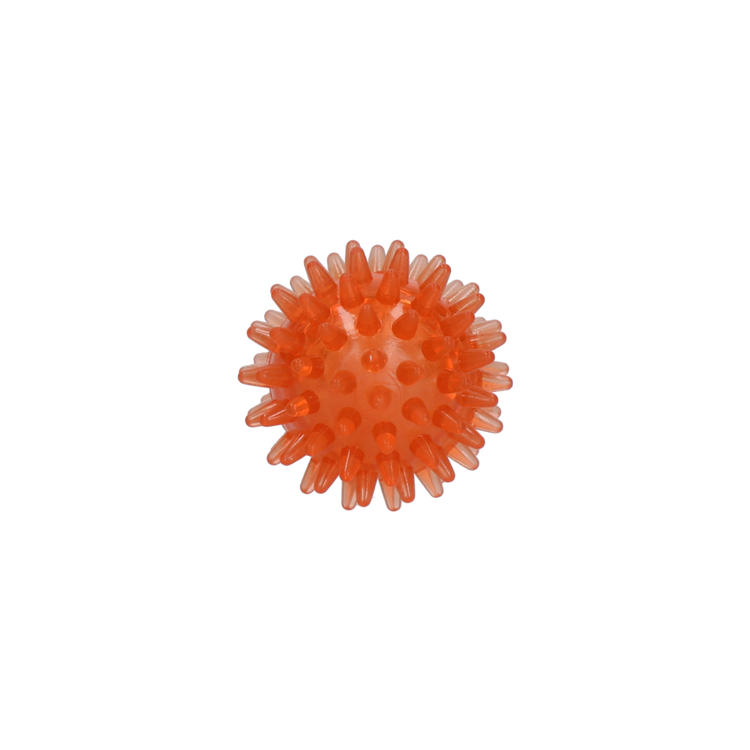 Dog Comets Exoplanet Arancione S