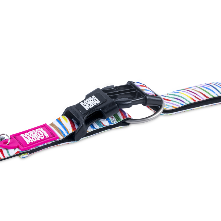 GOTCHA! Smart ID collare per cani - Magic Zebra