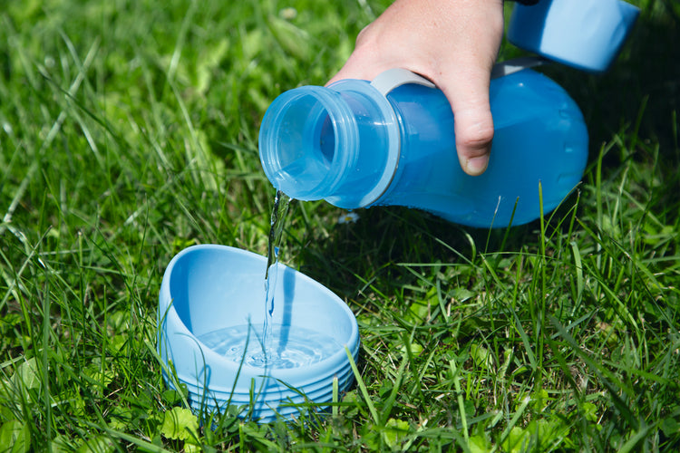 Beeztees Drinking Set