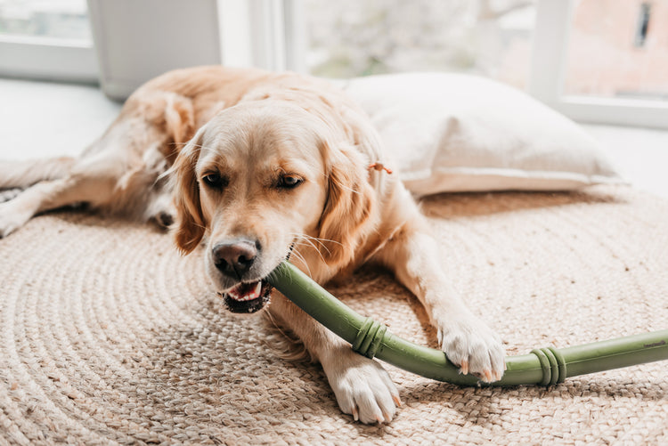 Beeztees SUMO Fit Stick