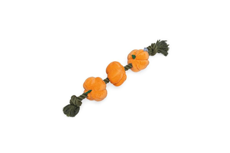 Beeztees giocattolo in corda con zucche