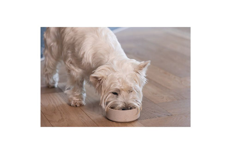 Designed by Lotte Ciotola di Bamboo Beige