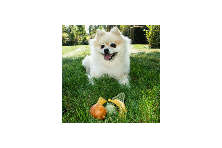 Garden Bites - Fruity friends L - 3pz