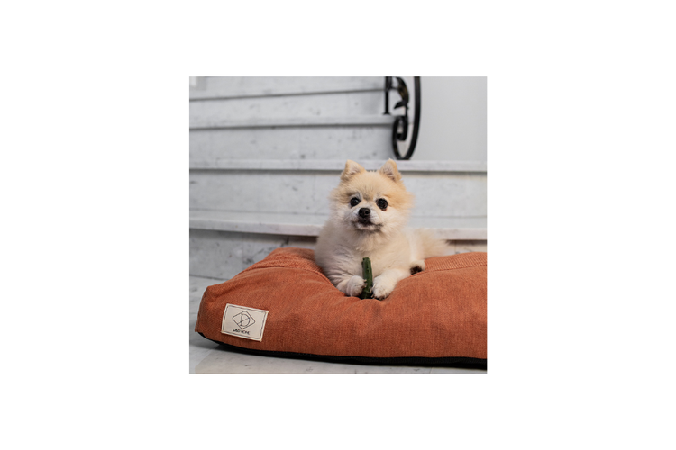Garden Bites - Toby toothbrush L - 10pz