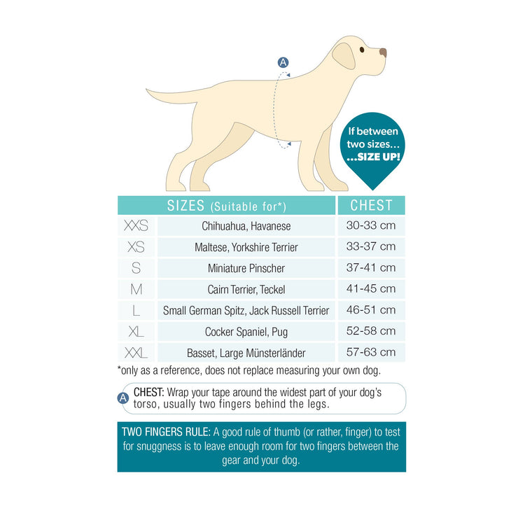 Pettorina Air Vest per Cani - Matrix 2.0 Jade
