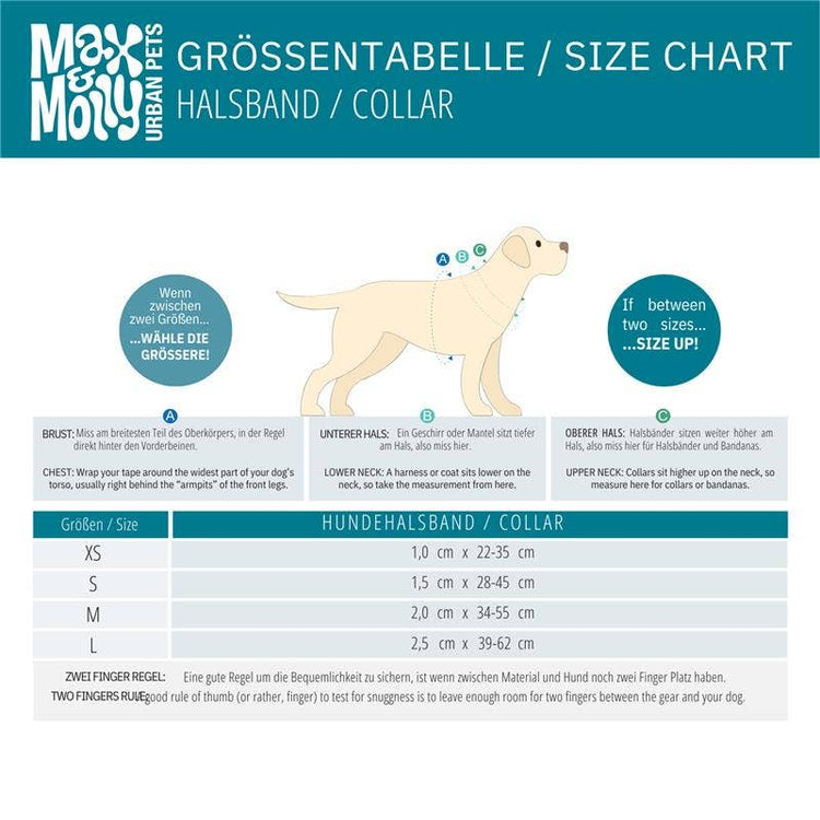 CAPITO! Collare per cani Smart ID - Ciambelle