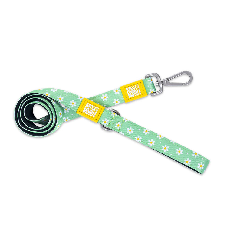 Guinzaglio corto per cani - Margarite