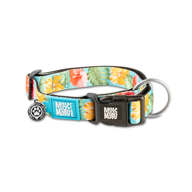 CAPITO! Collare per cani Smart ID - Exotique