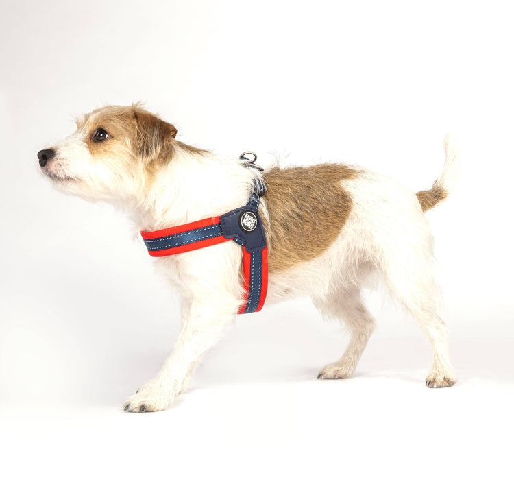 Imbracatura per cani Q-Fit rossa
