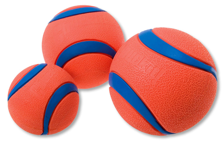 Chuckit Ultra Ball media 6 cm, confezione da 1