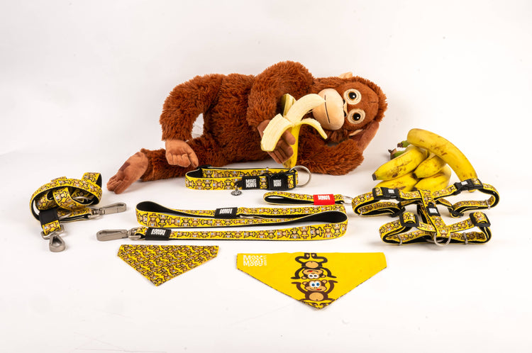 Bandana per cani - Monkey Maniac