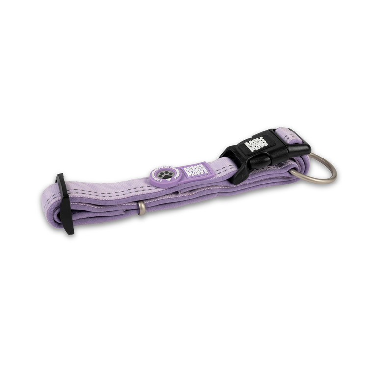 Gotcha! Collare Intelligente per Cani con ID - Matrix 2.0 Lavanda