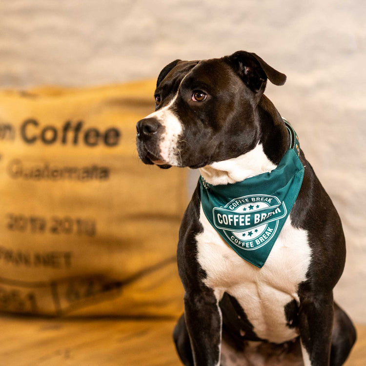 Bandana per cani - Coffee Break | S