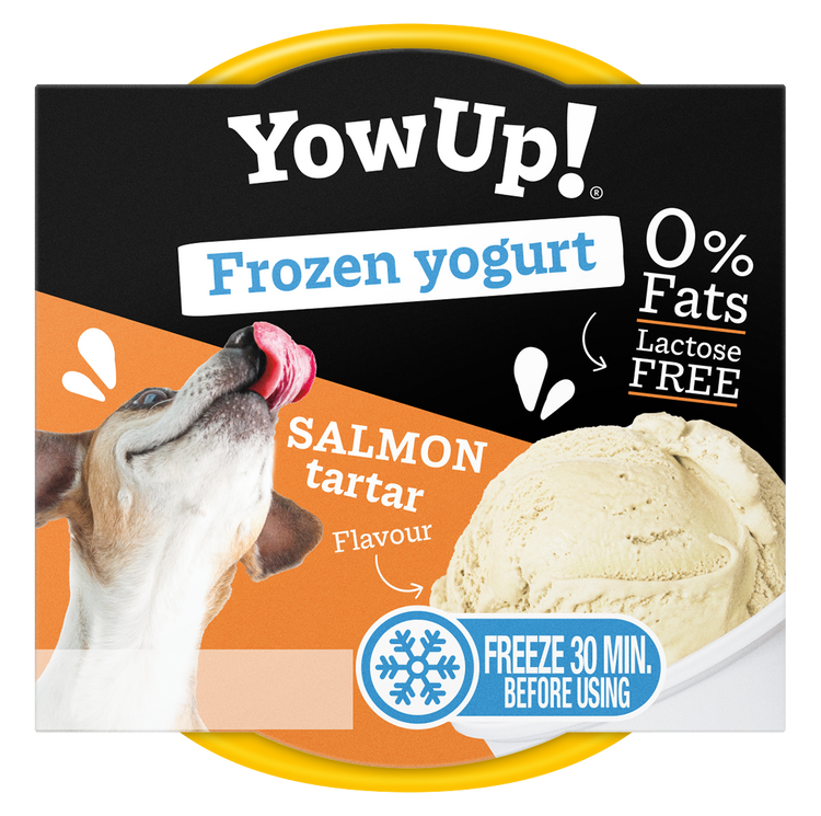 YowUp! Yogurt Gelato Tartare di Salmone