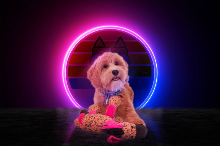 Hofman Animal Care RetroDog Asino Rosa Taglia S