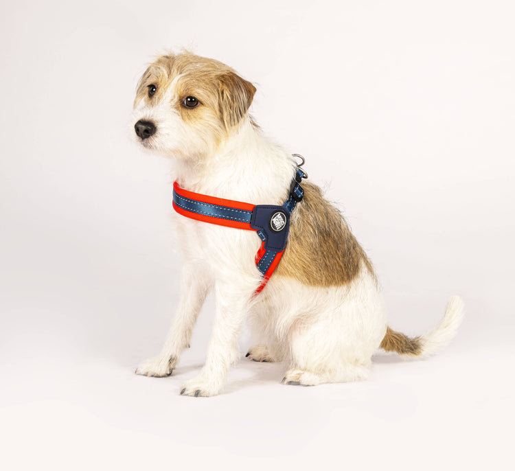 Imbracatura per cani Q-Fit rossa
