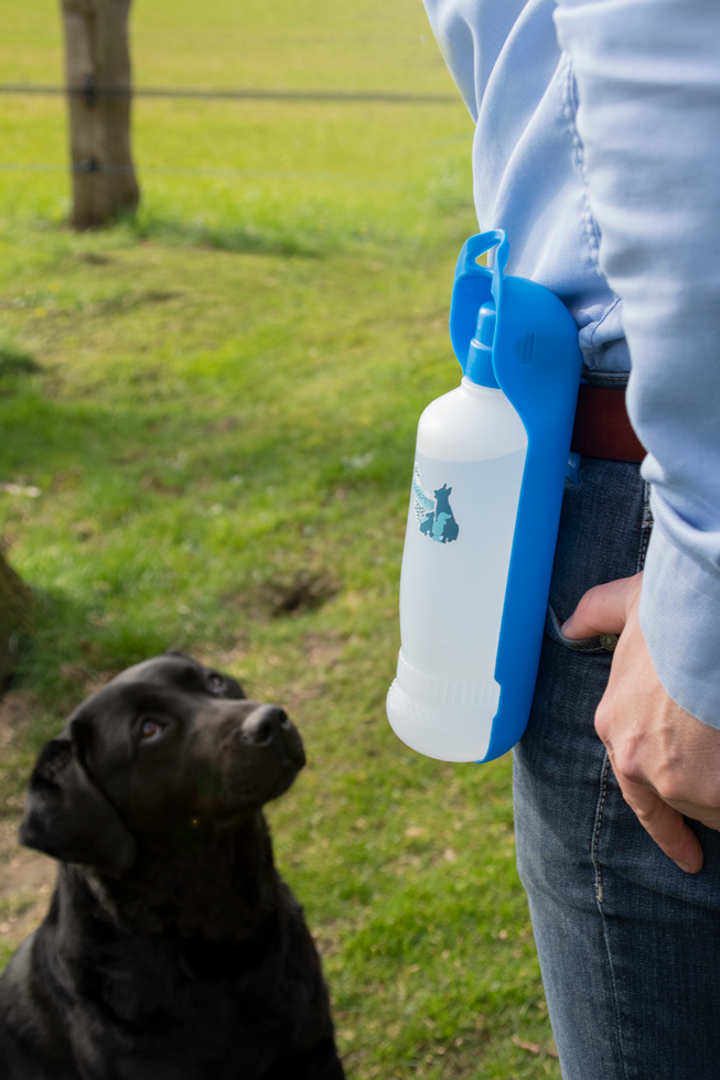 Bottiglia d'acqua CoolPets Fresh 2GO 300 ml