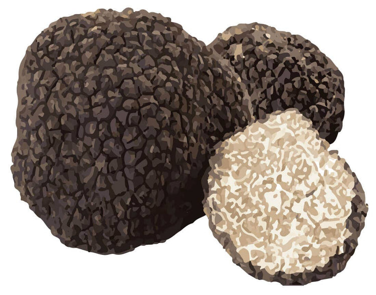 Barretta di formaggio SwissCowers al tartufo nero