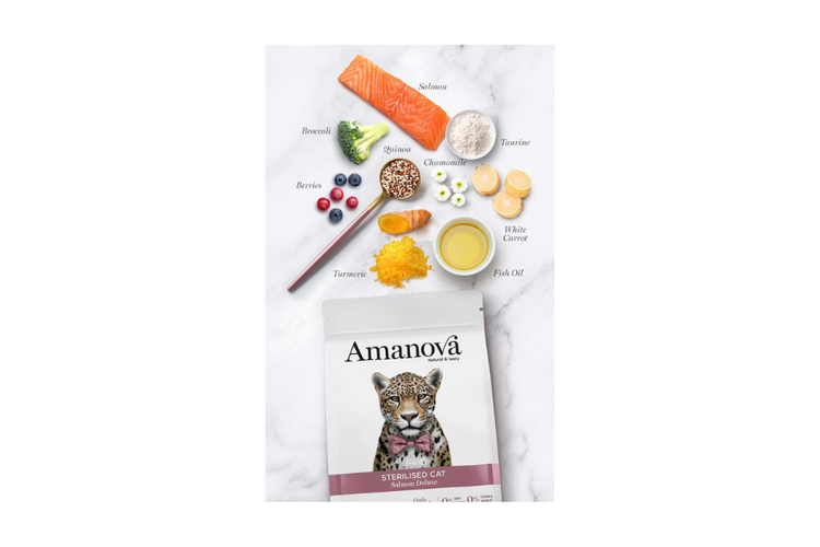 Amanova gatti sterilizzati - Salmon deluxe 300g