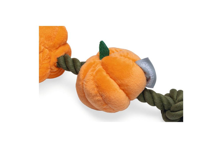 Beeztees giocattolo in corda con zucche