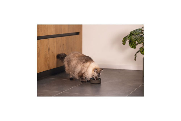 Designed by Lotte Ciotola Bamboo Nera