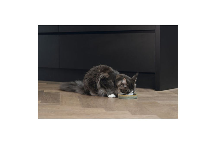 Designed by Lotte Ciotola in Ceramica verde