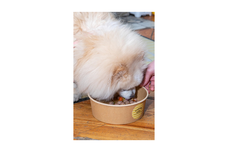 Harper&Bone polpette per cani - Fresh market 300g