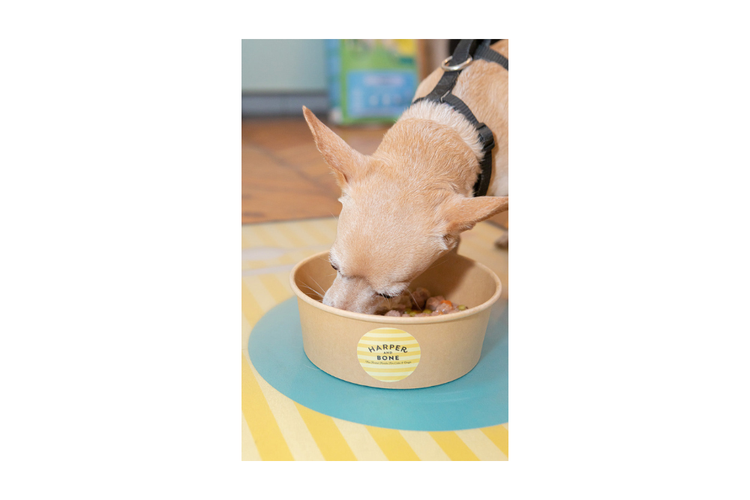 Harper&Bone polpette per cani - Ocean wonders 300g