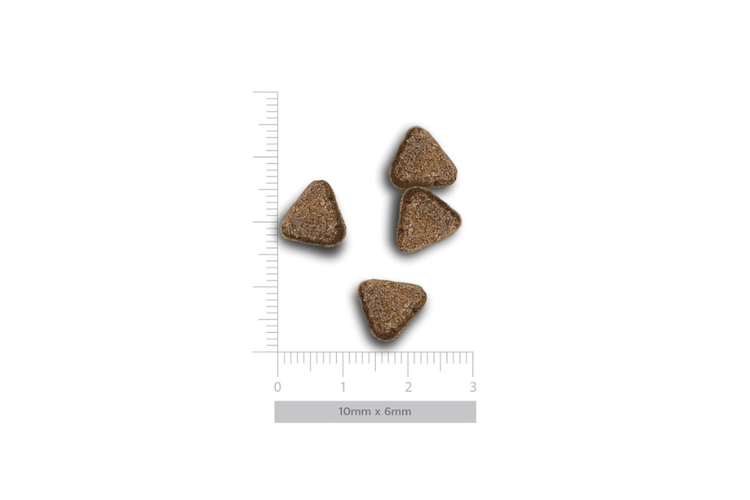 Harper&Bone Adult mini - Wild mountain 2kg