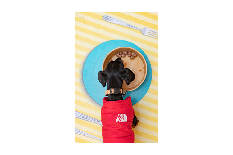 Harper&Bone polpette per cani - Flavours of the farm 300g