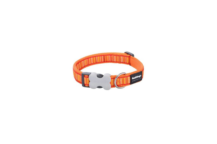 Red Dingo collare Lotzadotz arancione