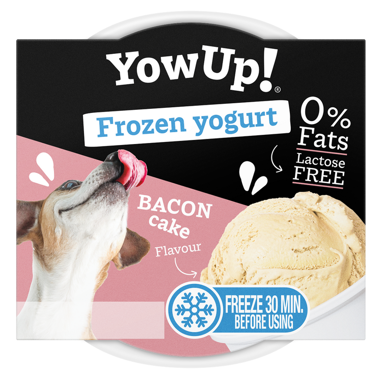 YowUp! Torta di Yogurt Gelato al Bacon