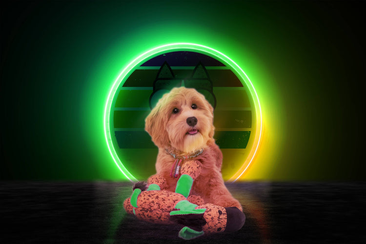 Pupazzo Retrodog asino verde taglia S