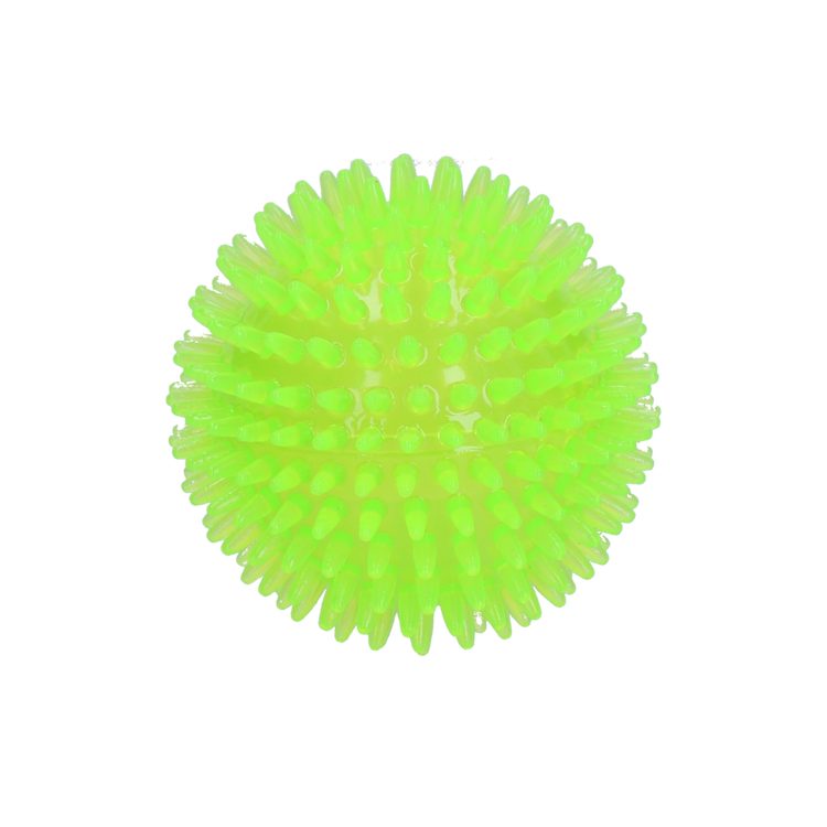 Palla riccio verde Dog Comets Exoplanet taglia M