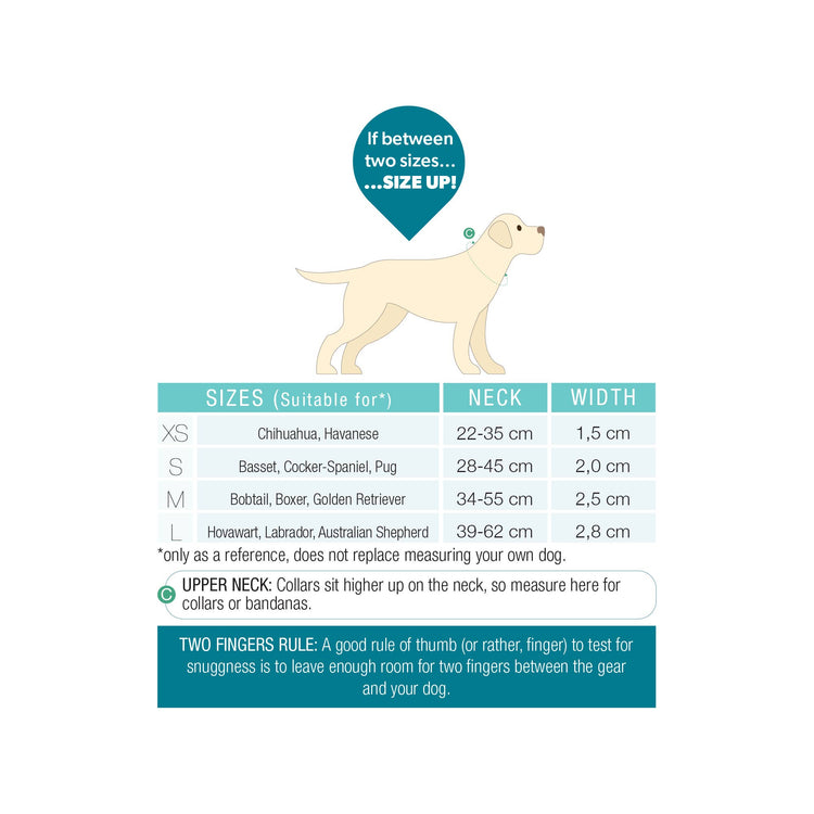 Gotcha! Collare Intelligente per Cani con ID - Matrix 2.0 Lavanda